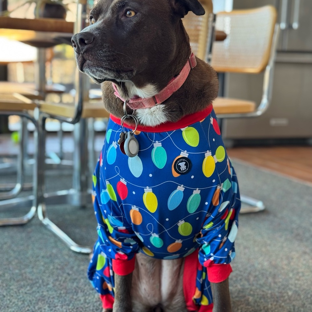 Holiday Colorful Dog Pajamas with Light Bulb Pattern- by Pittie Clothing